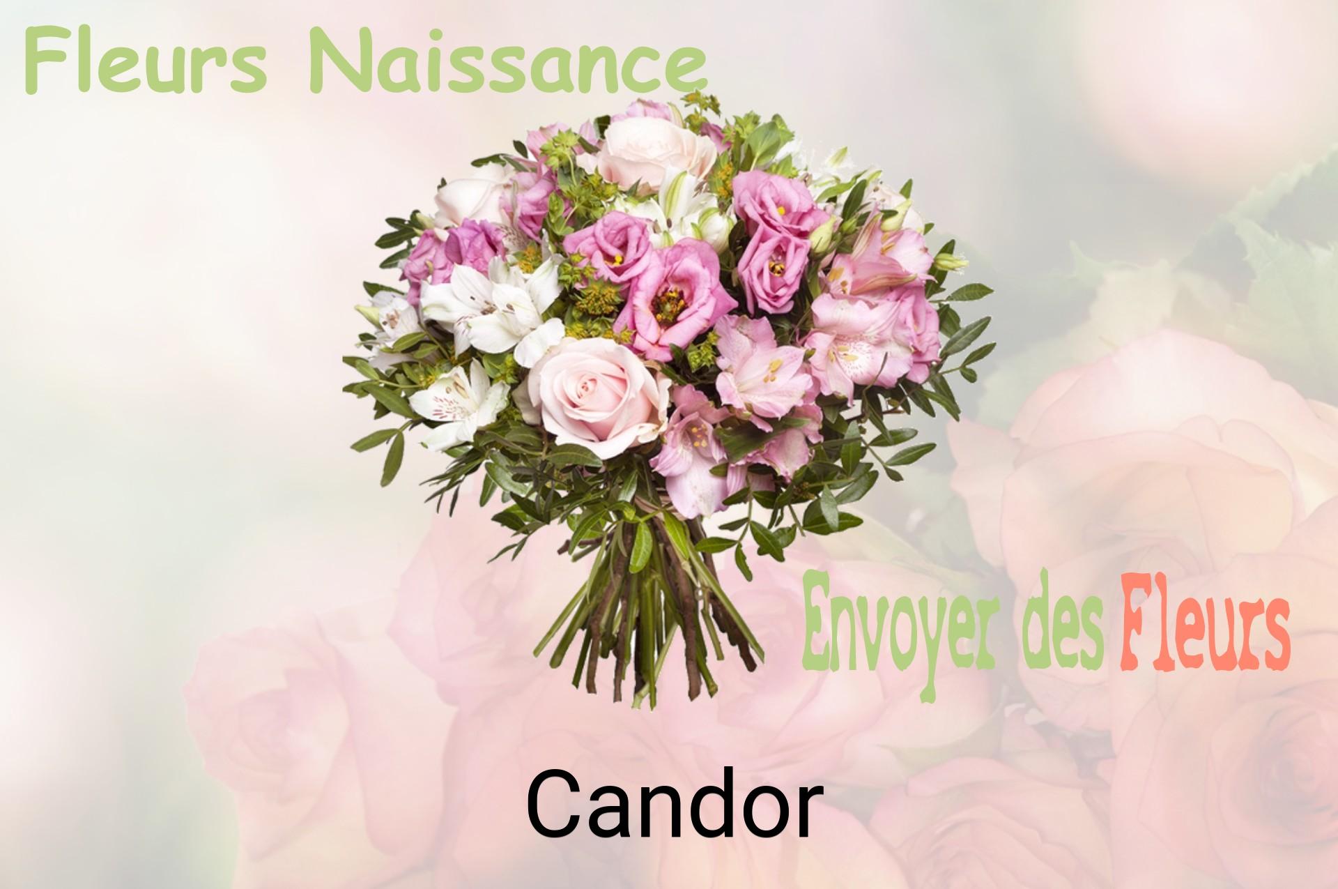 Bouquet de fleurs de naissance livré à Candor