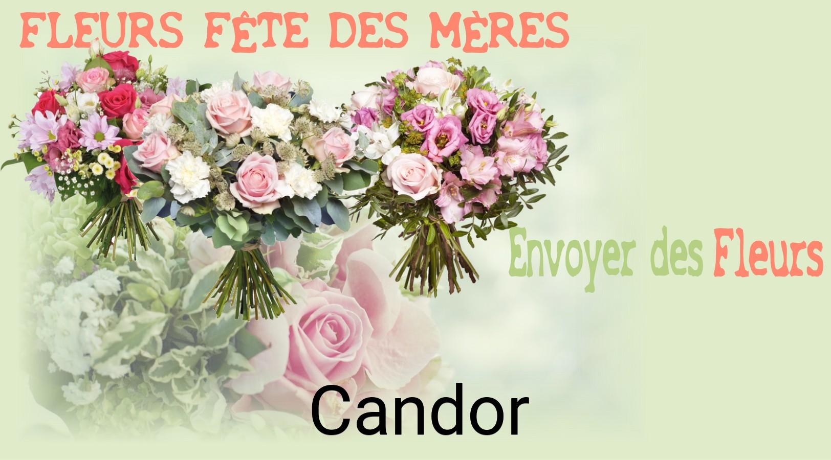 Bouquet de Fête des Mères livré à Candor