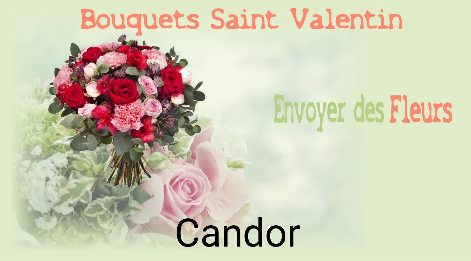 Roses de Saint-Valentin livrées à Candor
